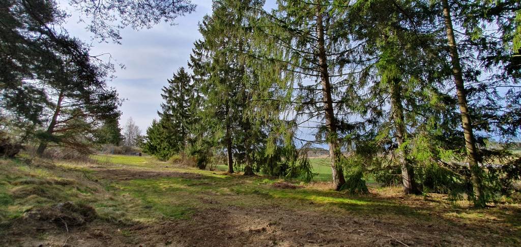 فرصت رویایی برای خرید ویلای نو در نورتلای